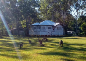 Lake Weyba Noosa Lodge & Kangaroos